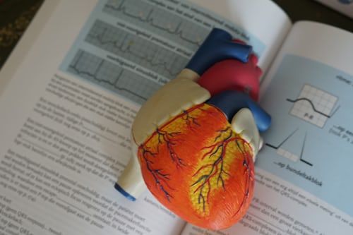 Medical
